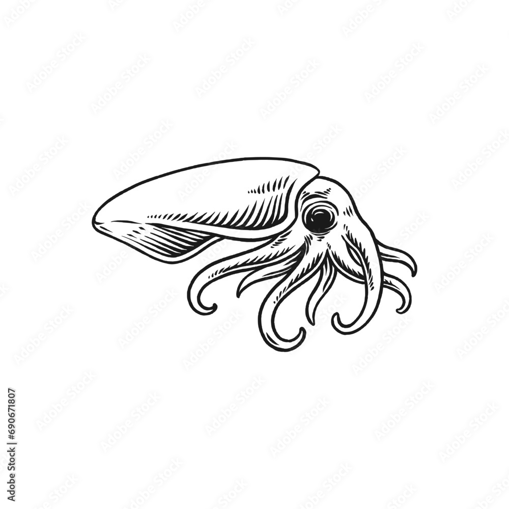 squid vector engraving hand drawn seafood logo