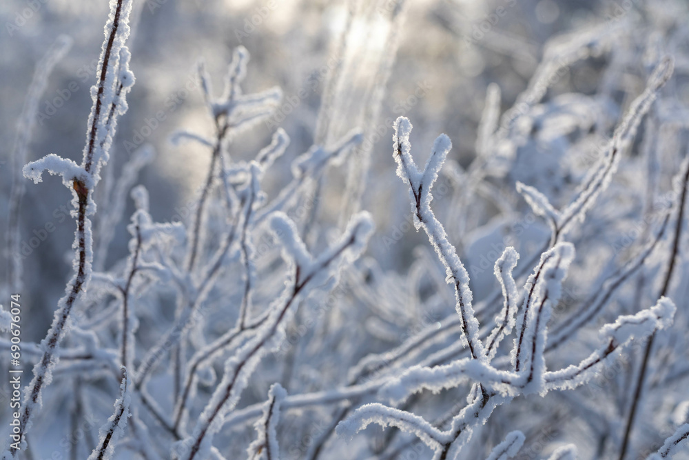 Illuminated by low winter sun bare tree branches covered by fluffy snow in frosty day. Soft focus. Illuminated by low winter sun bare tree branches covered by fluffy snow in frosty day. Soft focus.