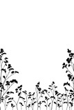 Black silhouette of wildflowers  isolated on a white background. Floral composition, frame border.