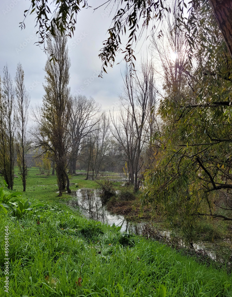 Rivera of the Tormes river in Salamanca, ancient and forgotten grove Rivera of the Tormes river in Salamanca, ancient and forgotten grove