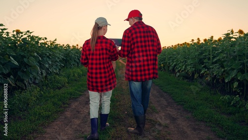 Farmers in field inspect sunflower plantation, sunset. Farmers with digital tablets work in field of sunflowers. Teamwork, business people with tablet in field, technology. Agrarian business, people