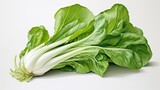 A vibrant bok choy, its green leaves and white stalk contrasting sharply against a clean white environment.