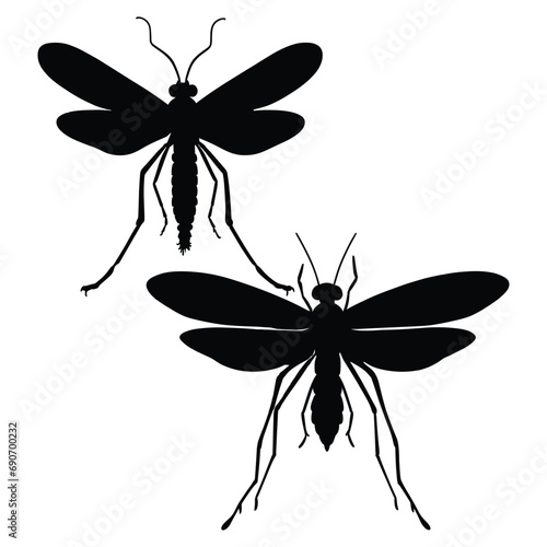 flying macro mosquitoes silhouettes on white