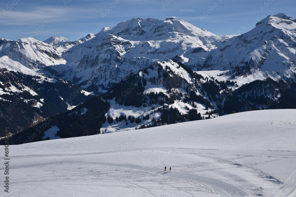 Pistes enneigées de l'Oberland bernois à Lenk. Suisse