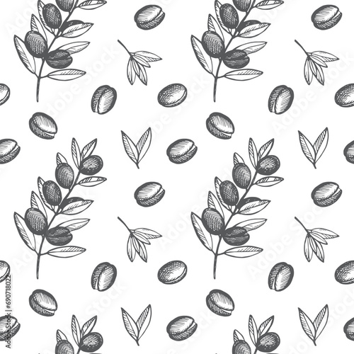 Argan seamless pattern hand drawn vector illustration. Repeating background with argana plant. Cosmetic ingredient, argane oil, harvest, tree Berbers Arabs. For label, print, design, wrapping, card