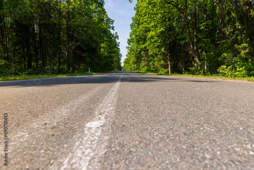 paved road with trees in the forest in sunny weather
