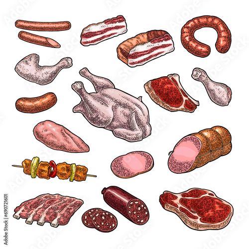 Set meat products. Brisket,  sausage, steak, chicken leg, ribs  wing,  carcass and breast halves. Vintage color vector engraving illustration. Isolated on white background photo