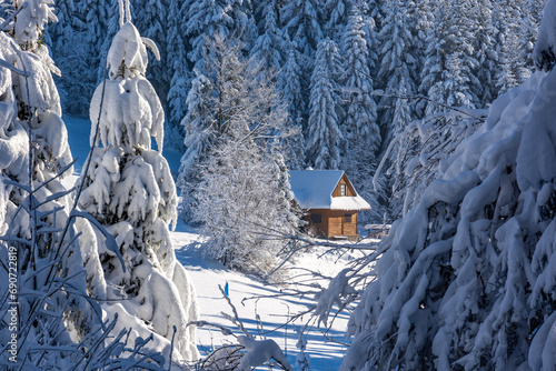 Zima domek w Górach na polanie w lesie
