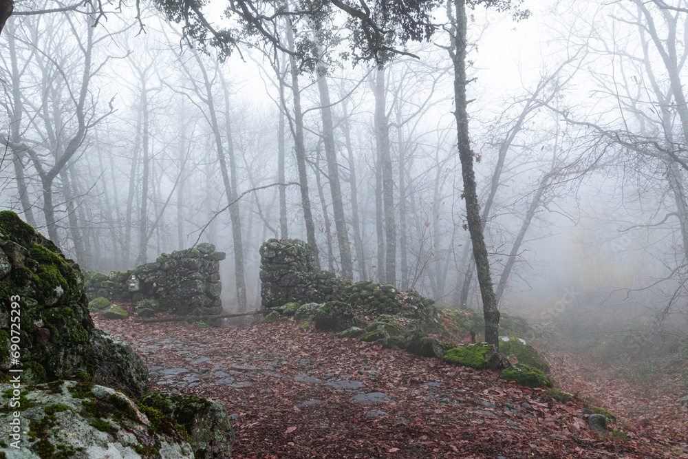 Naklejka premium Strolling through El Castañar