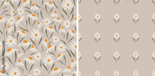 Daises vector seamless patterns. Repeat ornament of chamomiles. Wild flowers for textile design.
