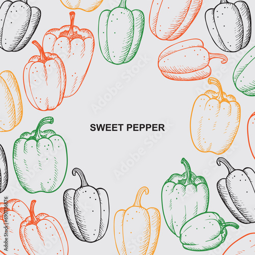 Sweet pepper label template background. Hand drawn vector engraved illustration border with paprika plants.Backdrop with peppers vegetables for print, card, wrapping, template, logo, packing, paper