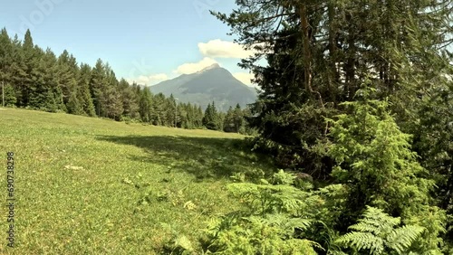 View on alpine meadow with pine trees and mountains in the background during summer time in Imst, Austria. Austrain alpine landscape. Tschirgant mountain in the background. photo