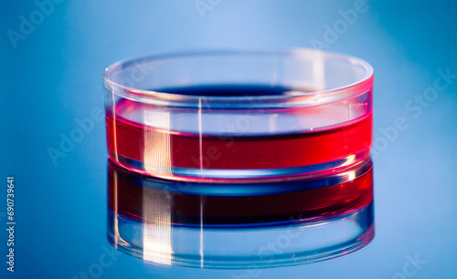 Petri dish with blood sample on blue background