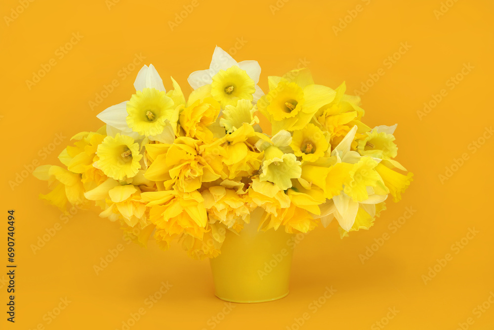 Spring Easter daffodil flower arrangement on yellow background. Beautiful floral Springtime, Mothers day and Easter time composition