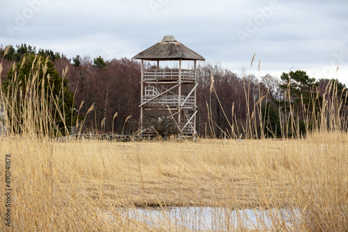  A wooden tower is observed in the place of foam migration on the background of reeds