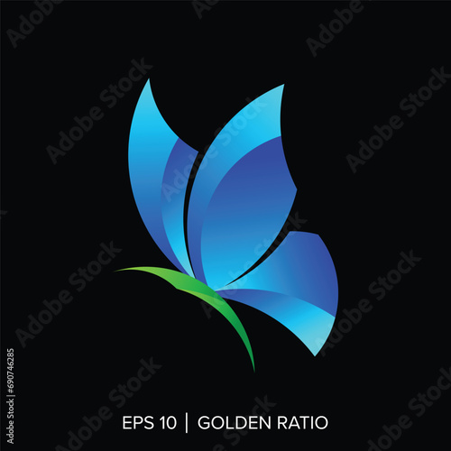 golden ratio butterfly template, golden ratio butterfly element photo