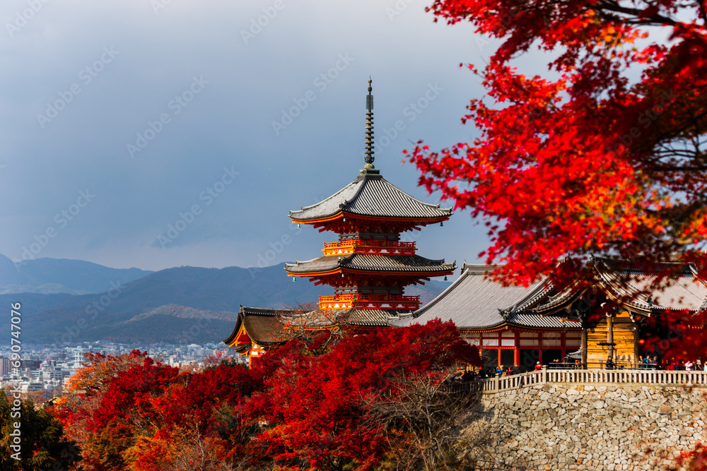 Fototapeta premium Kyoto, Japan