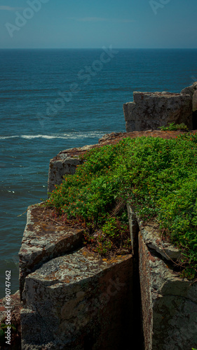 Contraste entre a flora e o mar em torres / RS