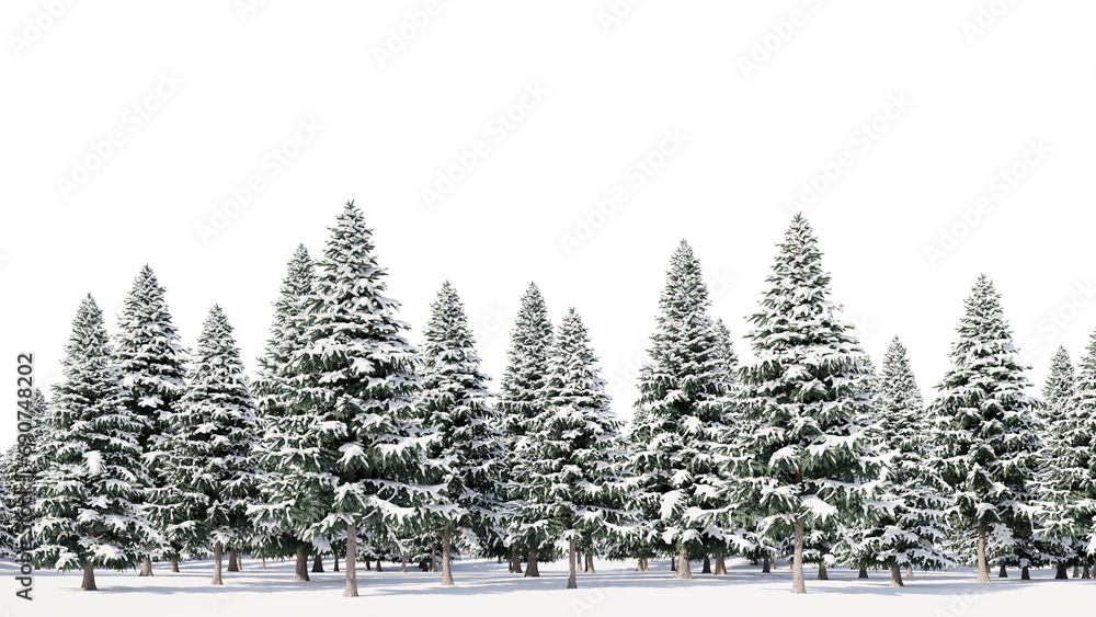 Winter snow-covered spruce forest transparent 8K