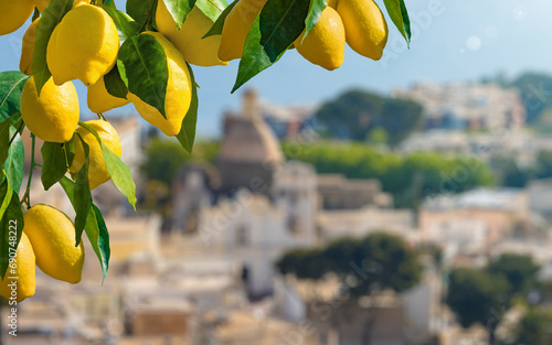 Ripe yellow lemons with green leaves. Beautiful island of Capri on blurred background photo