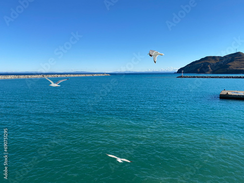 Seagulls flying over Kuzu port across lighthouse  on the island of Gokceada, Canakkale, Turkey.