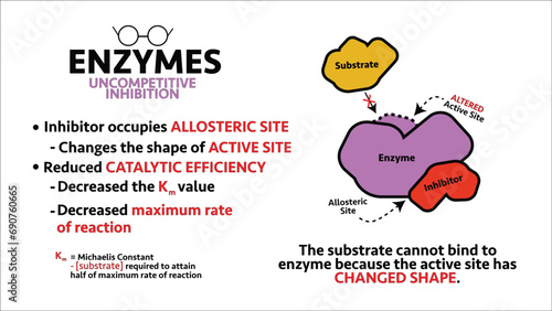 Enzymes Uncompetitive Inhibitor Summary Infographic photo