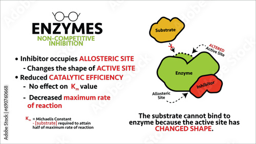 Enzymes Non-competitive Inhibitor Summary Infographic