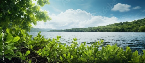 The shore of the blue lake ...