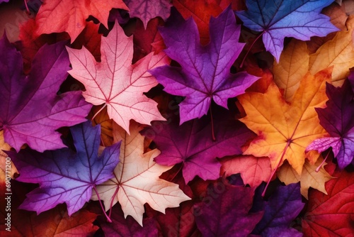 A close up view of many different colored leaves. Perfect for autumn-themed designs and nature-related projects