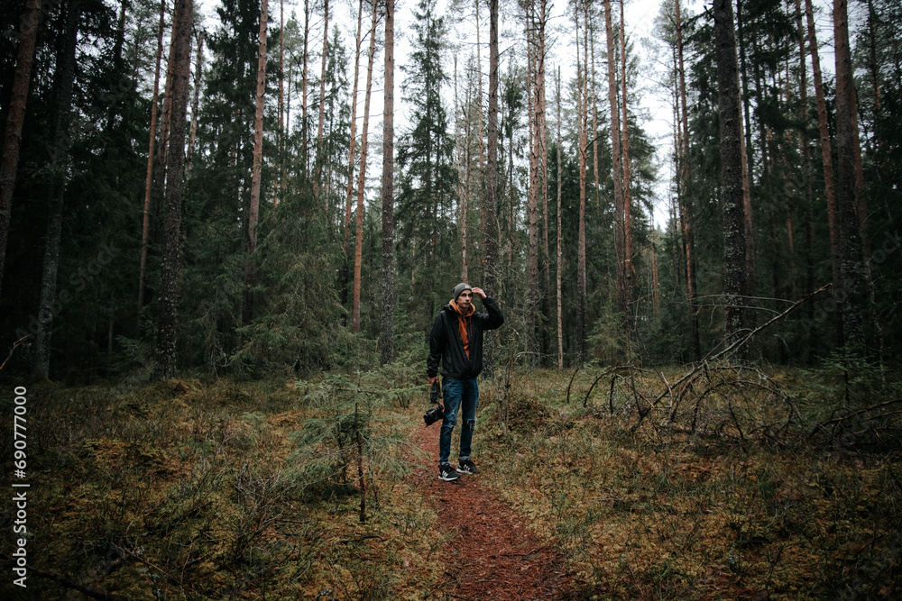 One Person Walking in a Green Forest Surrounded by Trees