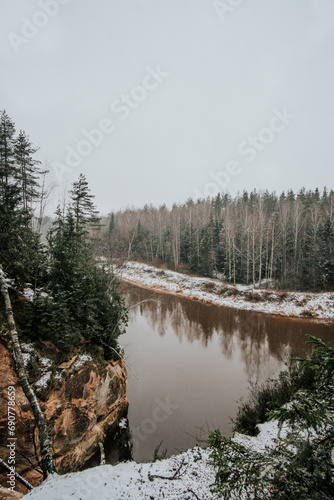 Fototapeta Naklejka Na Ścianę i Meble -  A Tranquil Winter Landscape with Pine Trees and a Frozen Creek