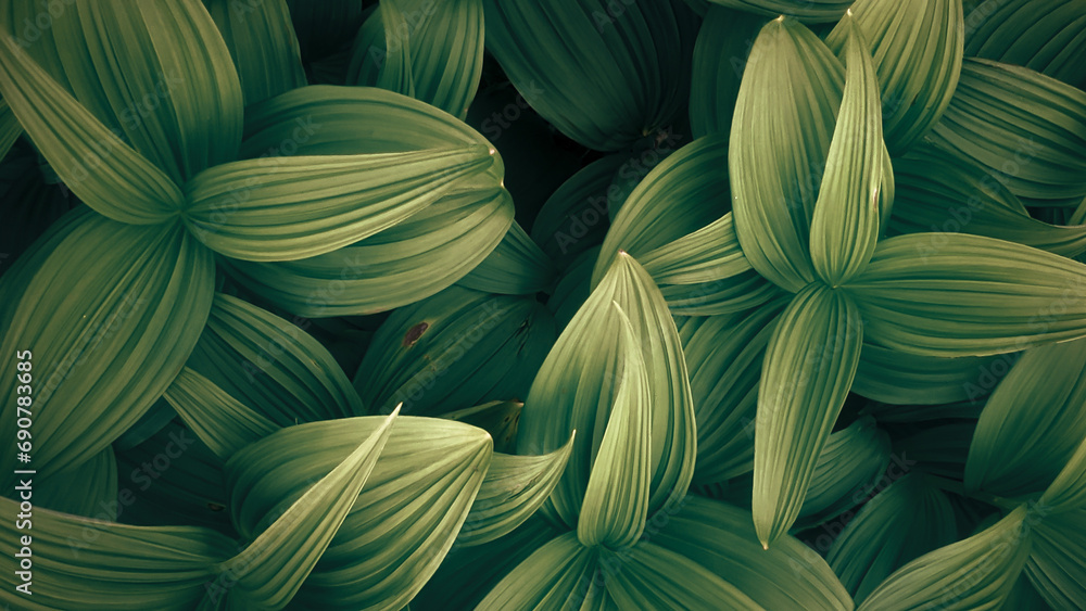 leaves background leaves background