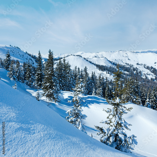 Winter mountain landscape with snowy spruce trees on slope (Hochkoenig region, Austria) © wildman