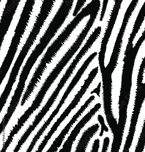 Wallpaper Mural Black and white realistic Zebra skin texture pattern Torontodigital.ca