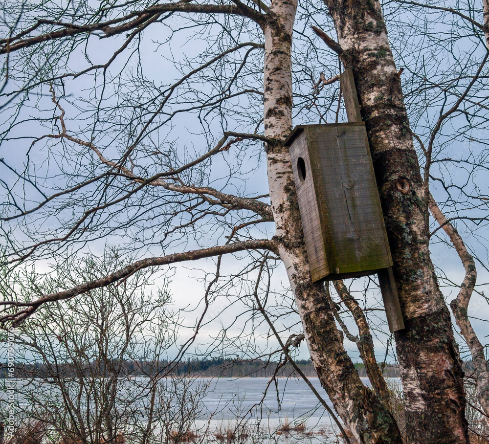 Nest box to facilitate the nesting of ducks on the flooded shore of forest lake. Nest box to facilitate the nesting of ducks on the flooded shore of forest lake.