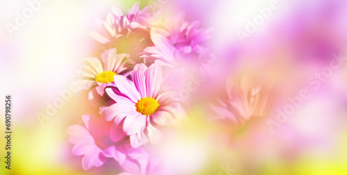 flower and soft bokeh background