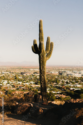 Cactus, red rocks - Phoenix, Arizona