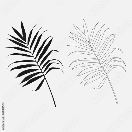 fern, palm tree, fern vector, palmra vector, fern illustration, fern icon, palmra illustration, illustration vector, plants vector, plants icon, plants resource, overlay, png