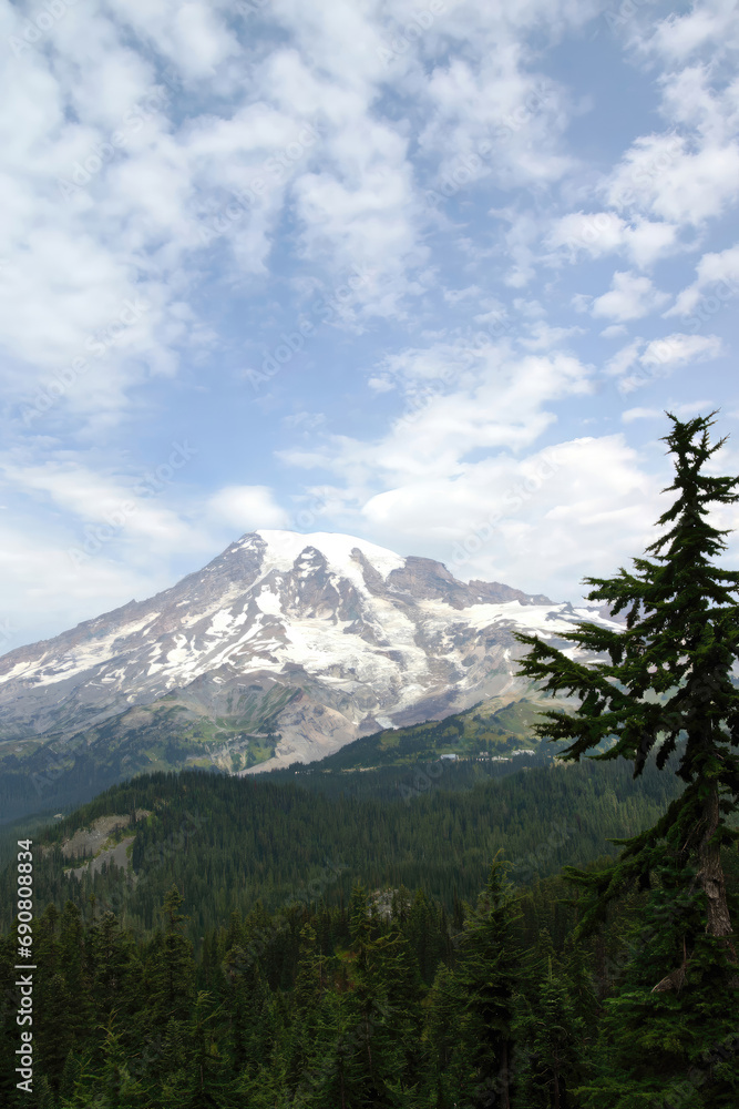  Mt. Rainier, with conifer forest