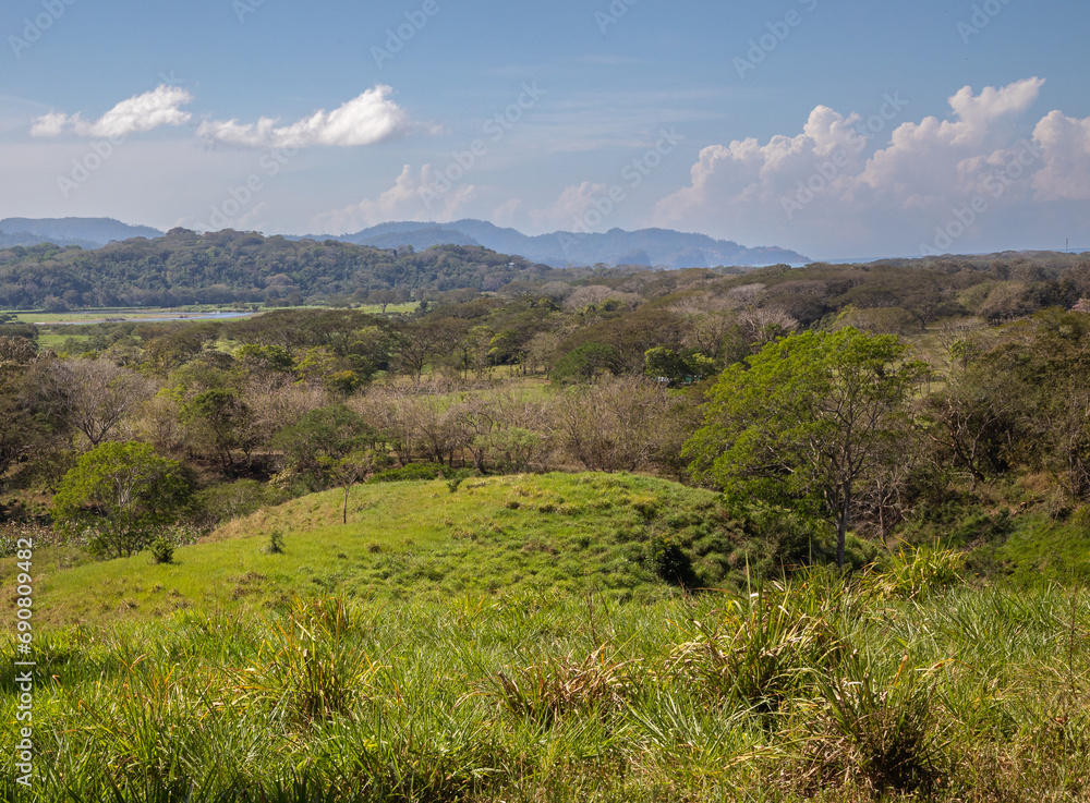 Green lowlands and vegetation  of western Costa Rica with mountains in the distance