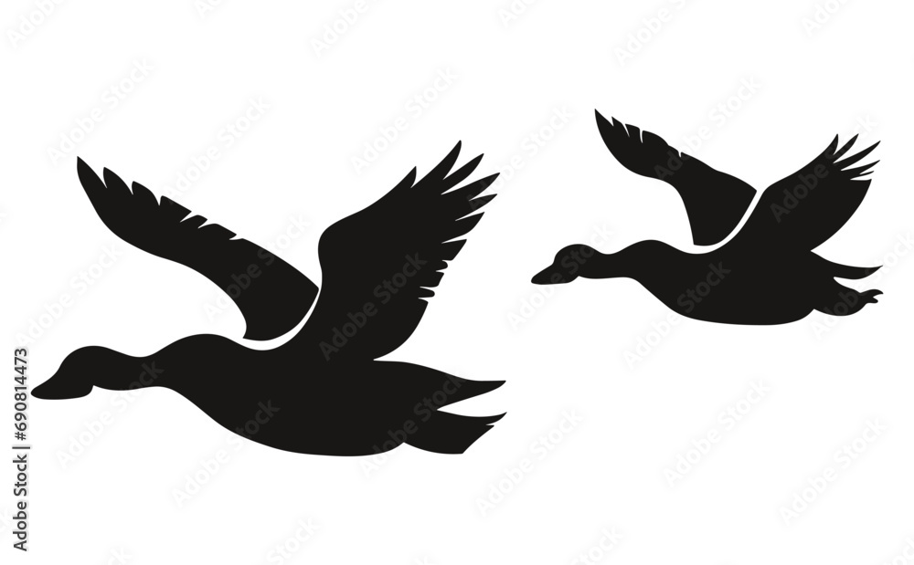 Obraz premium Vector black flock of flying duck silhouette isolated on white background