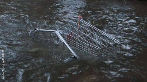 shopping cart in the lake or river dumped