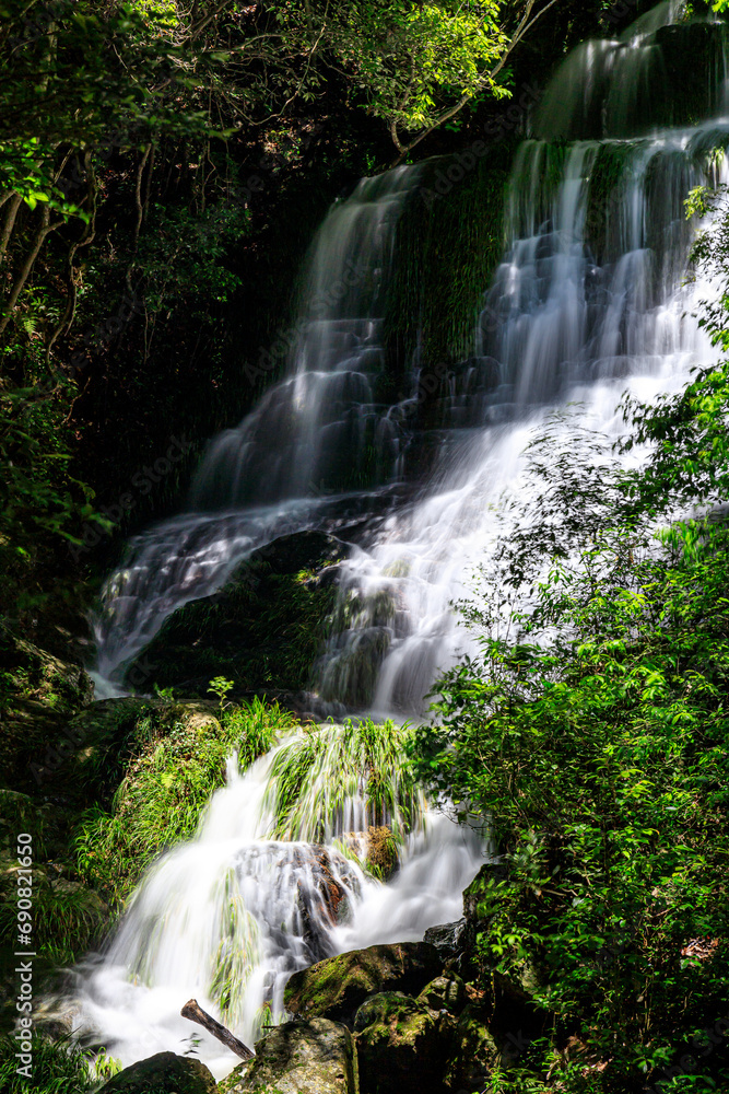 Obraz premium 美しい新緑に囲まれた滝|太戸の滝