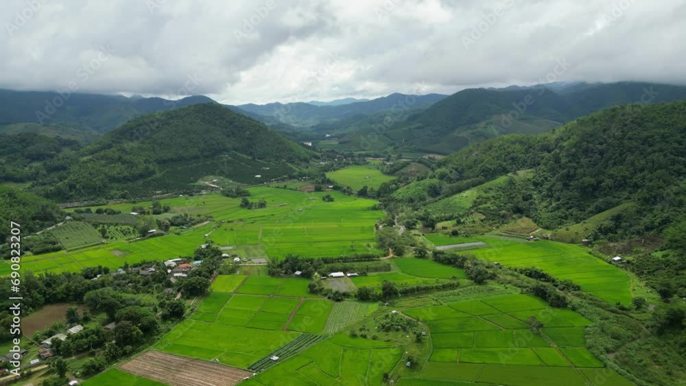 Aerial view of drone flying above rice field and farming in Chiang Mai province, Thailand Aerial view of drone flying above rice field and farming in Chiang Mai province, Thailand