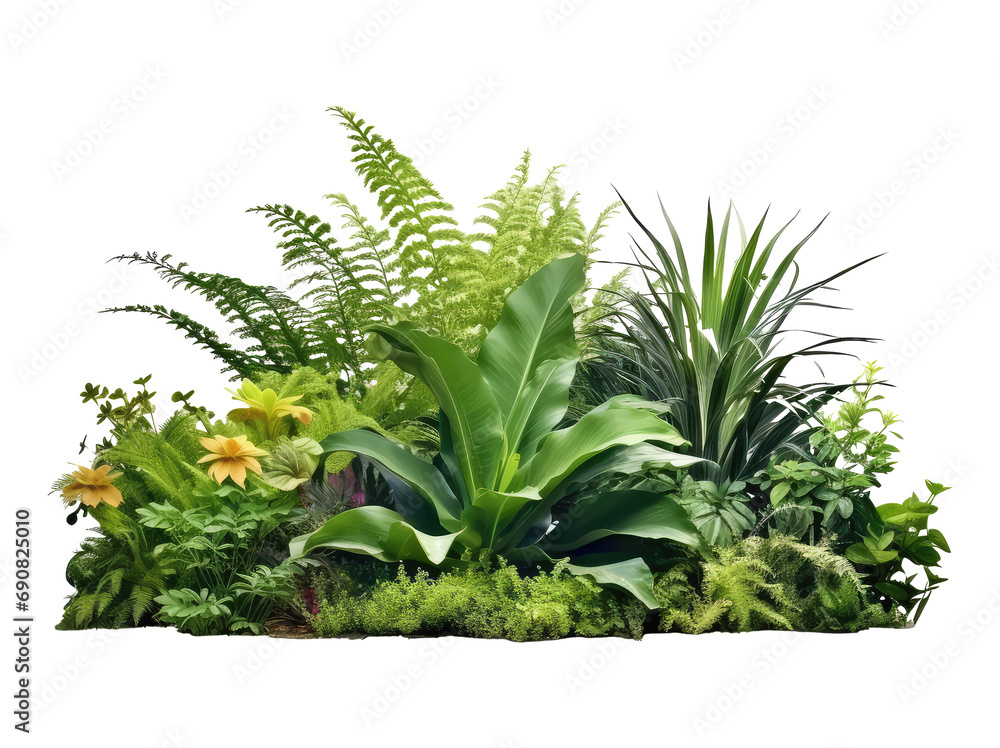 garden plants isolated on transparent background