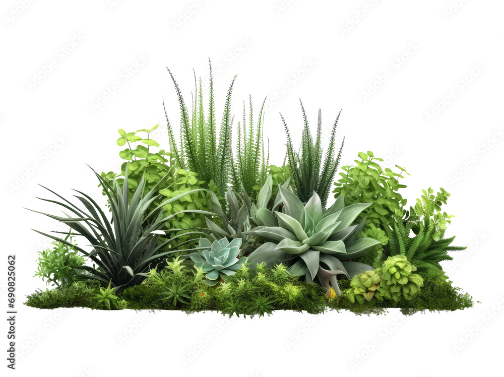 garden plants isolated on transparent background garden plants isolated on transparent background