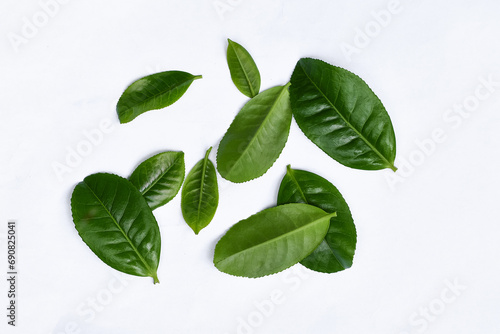 Green tea leaves on white background