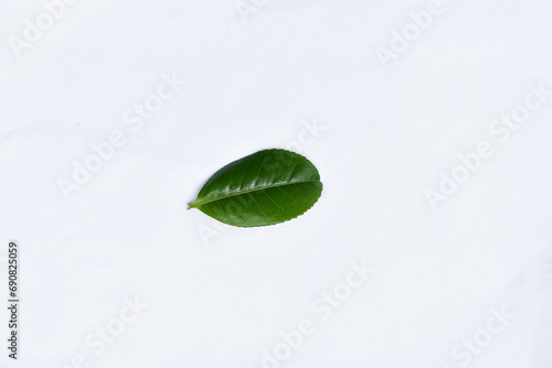 Green tea leaves on white background