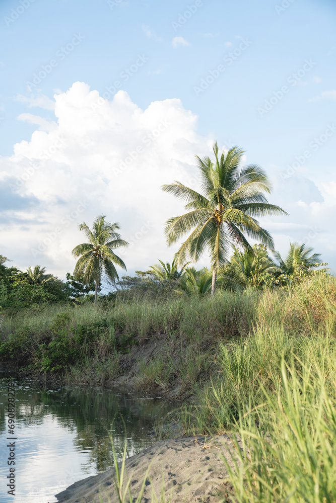 Beautiful paradise palm trees on a lake Costa Rica 