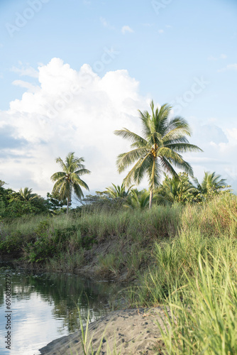 Beautiful paradise palm trees on a lake Costa Rica © PIC by Femke